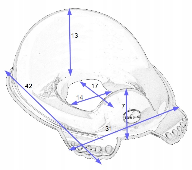 NAKŁADKA SEDESOWA + PODEST ANTYPOŚLIZGOWE Tega Marka Tega