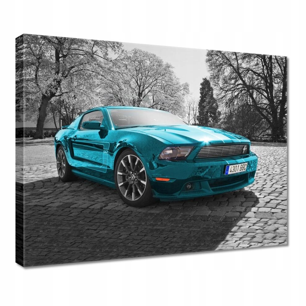 

Obrazy 50x40 Turkusowy Ford Mustang
