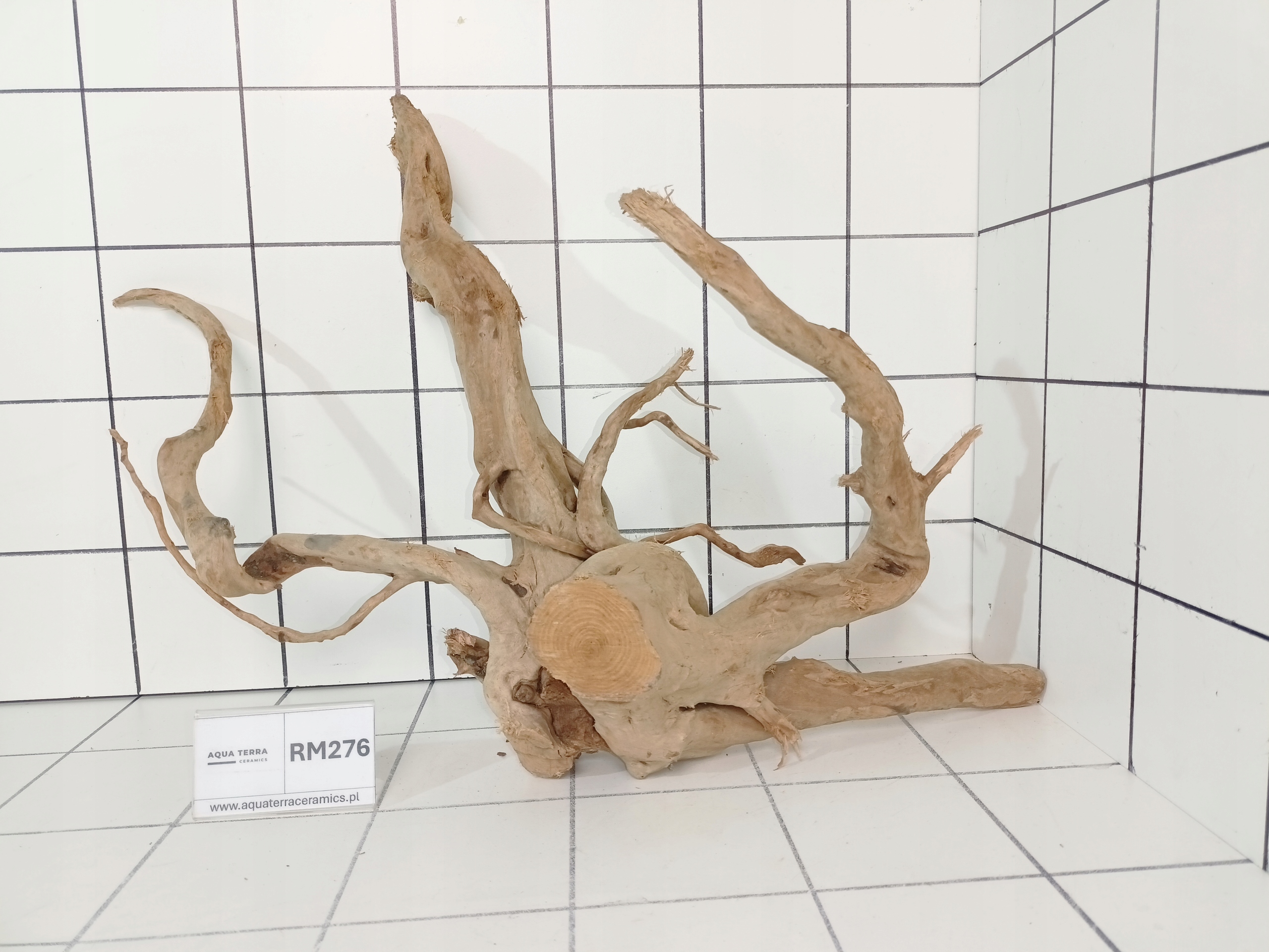 Korzeń Japoński Do Akwarium Terrarium Red Moor RM276 (to co na zdjęciu)