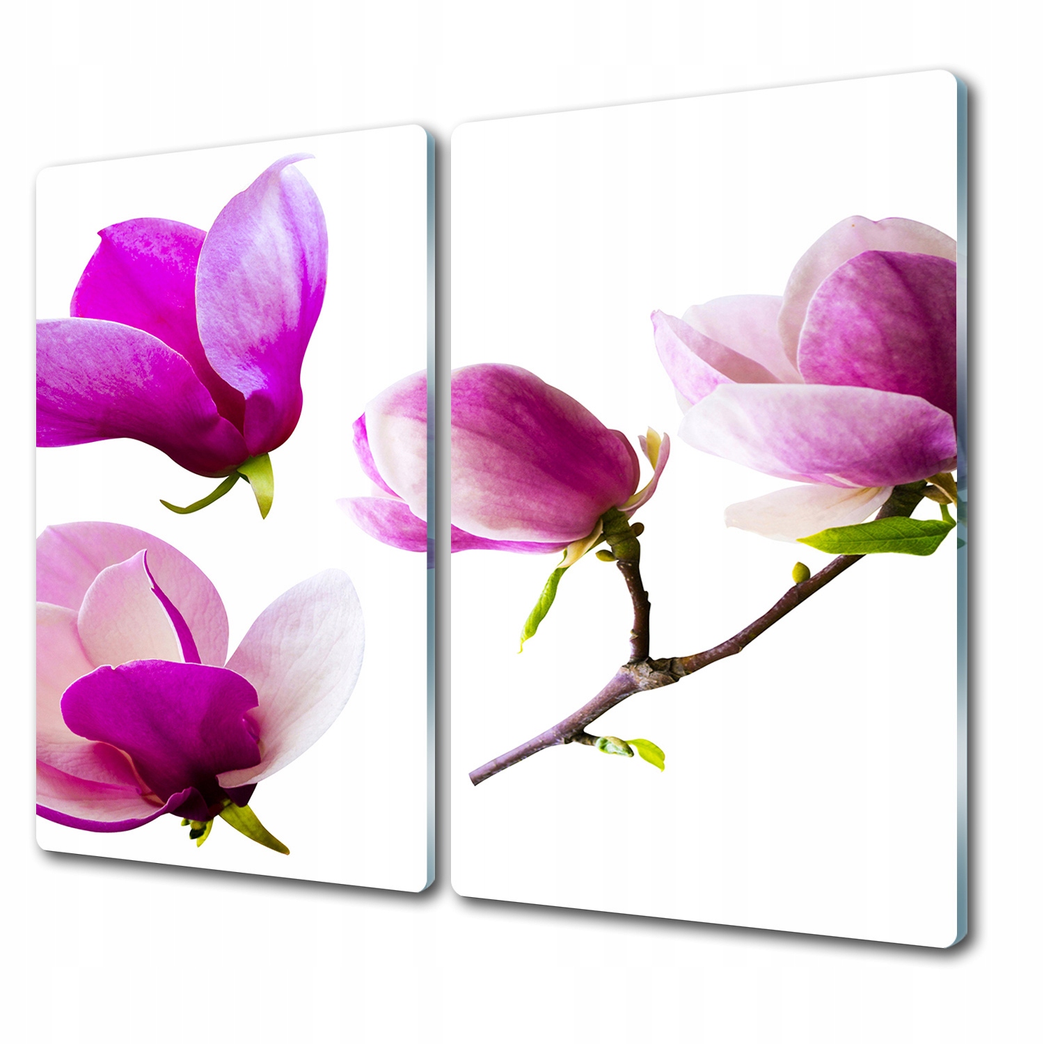 

Szklana deska do krojenia Kwiaty magnolii 2x30x52