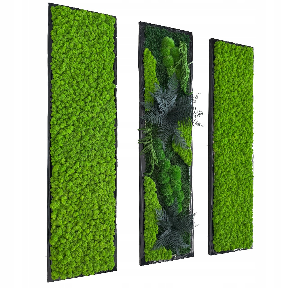 Mechové obrazy sada 2 x chrobotek a 1 x kompozice 100 x 30 cm