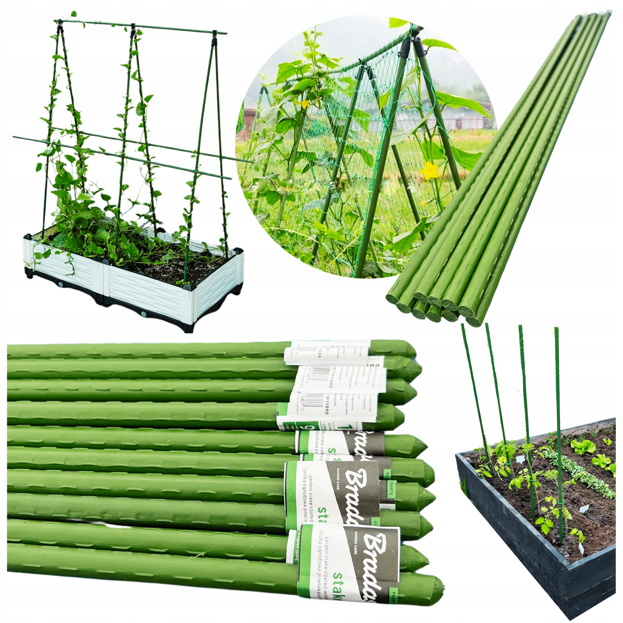 10X TYCZKA PALIK PODPORA NA POMIDORY OGÓRKI STATYW TYCZKI DO ROŚLIN 100 CM EAN (GTIN) 5906269990463