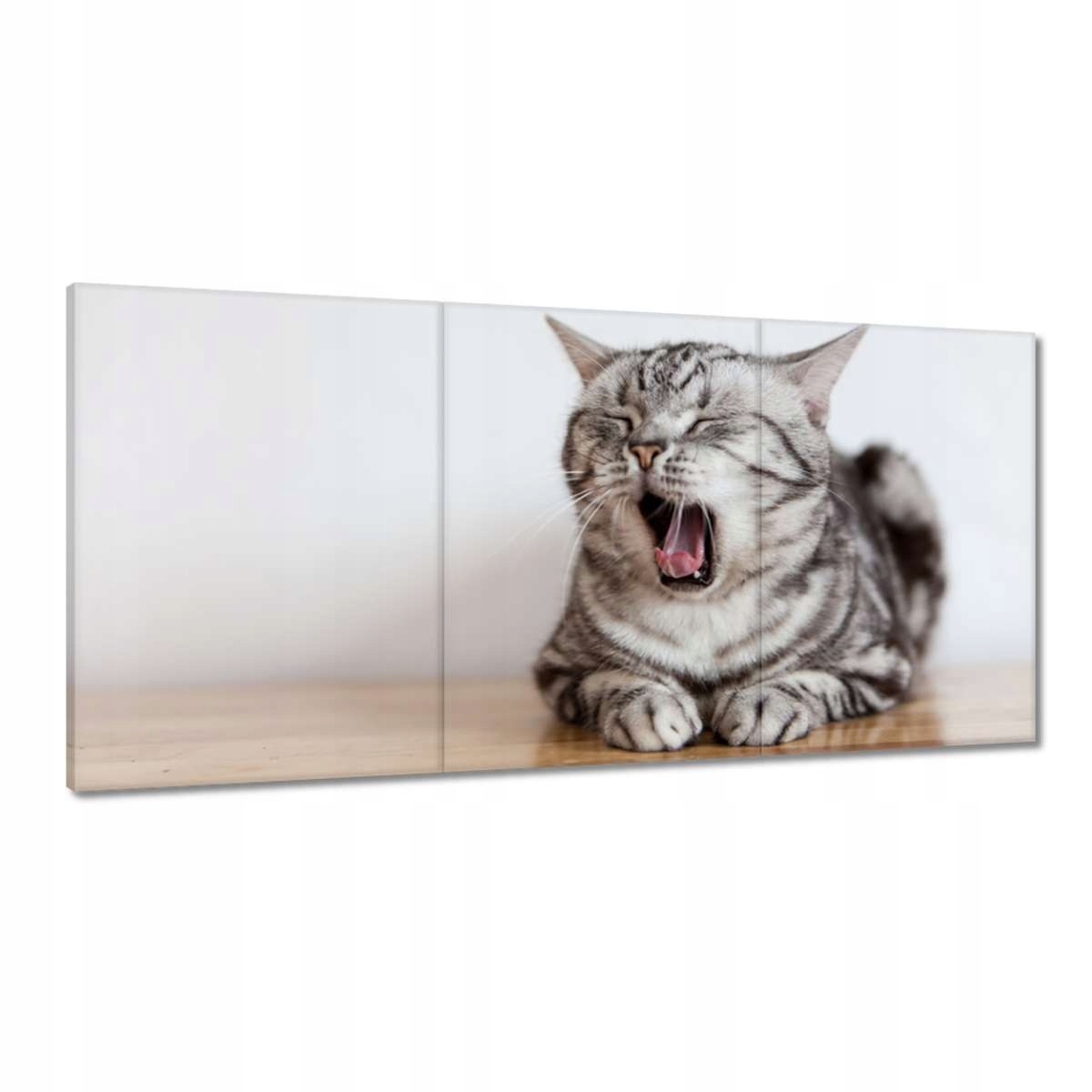 Obrazy 180x90 Mačka Mačiatka Kicia