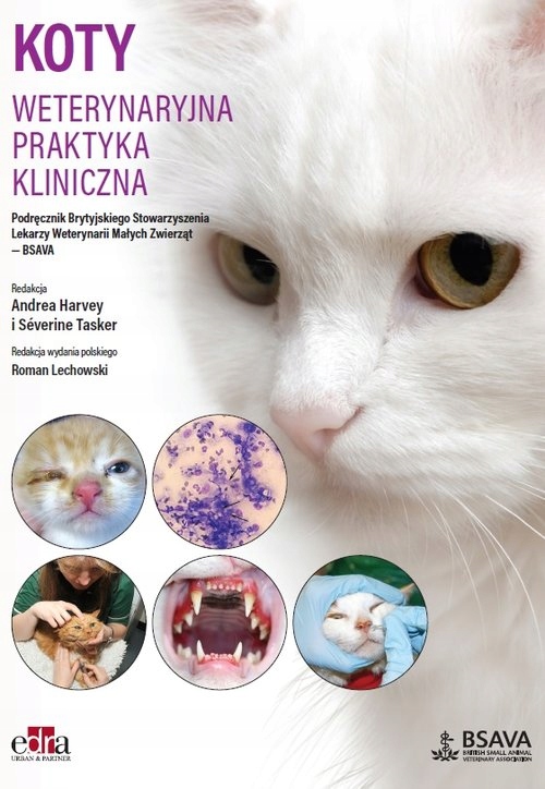 

Koty. Weterynaryjna praktyka kliniczna