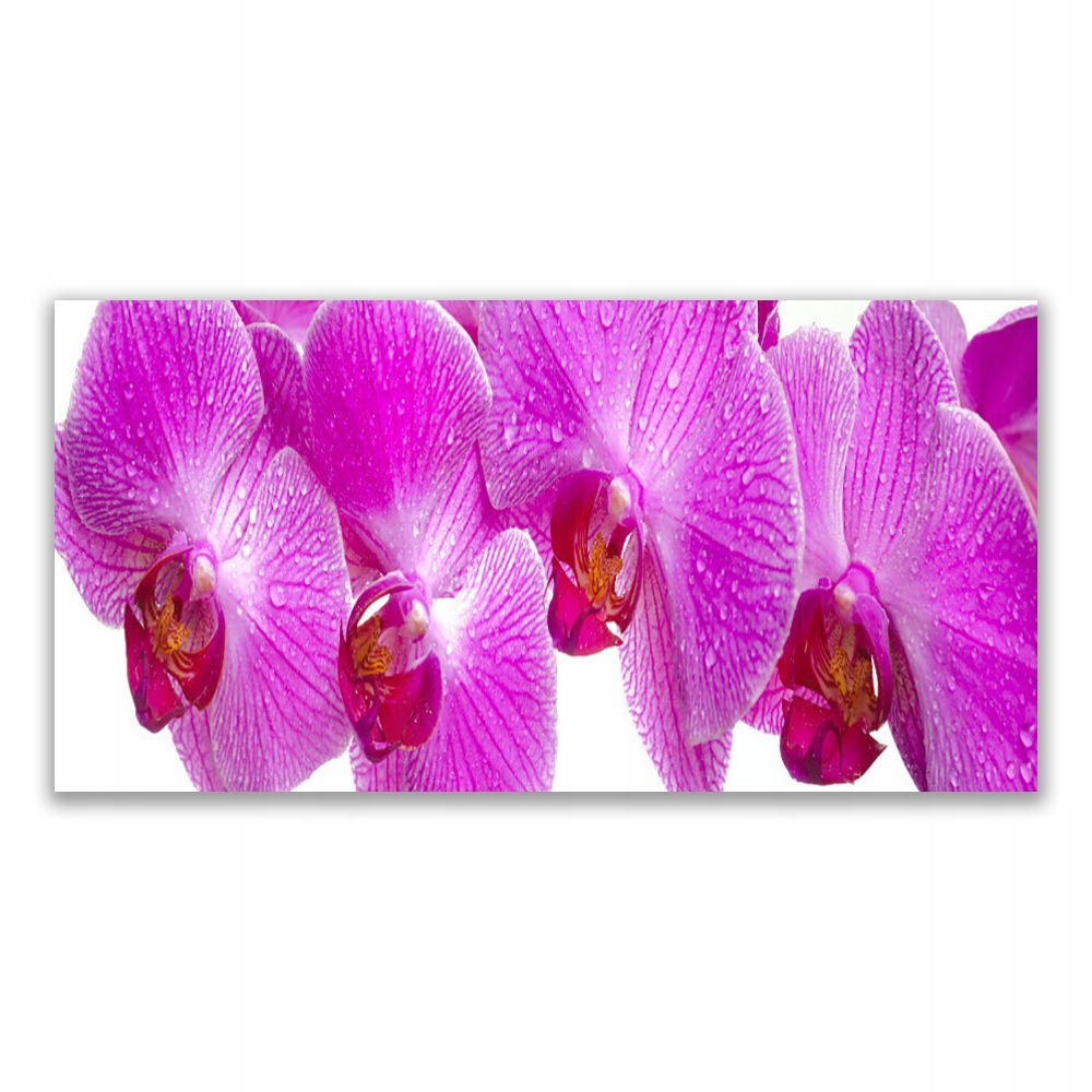 

Fotoobraz na ścianę 140x70 Kwiaty Roślina Natura