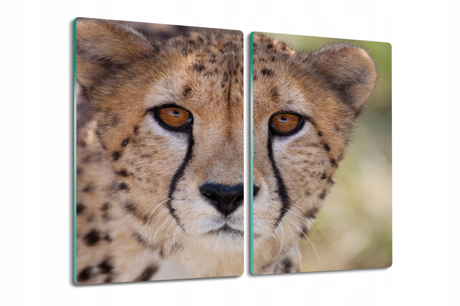 Deska na krájení Tvrzené Sklo do kuchyně 2x30x52 Oči gepard