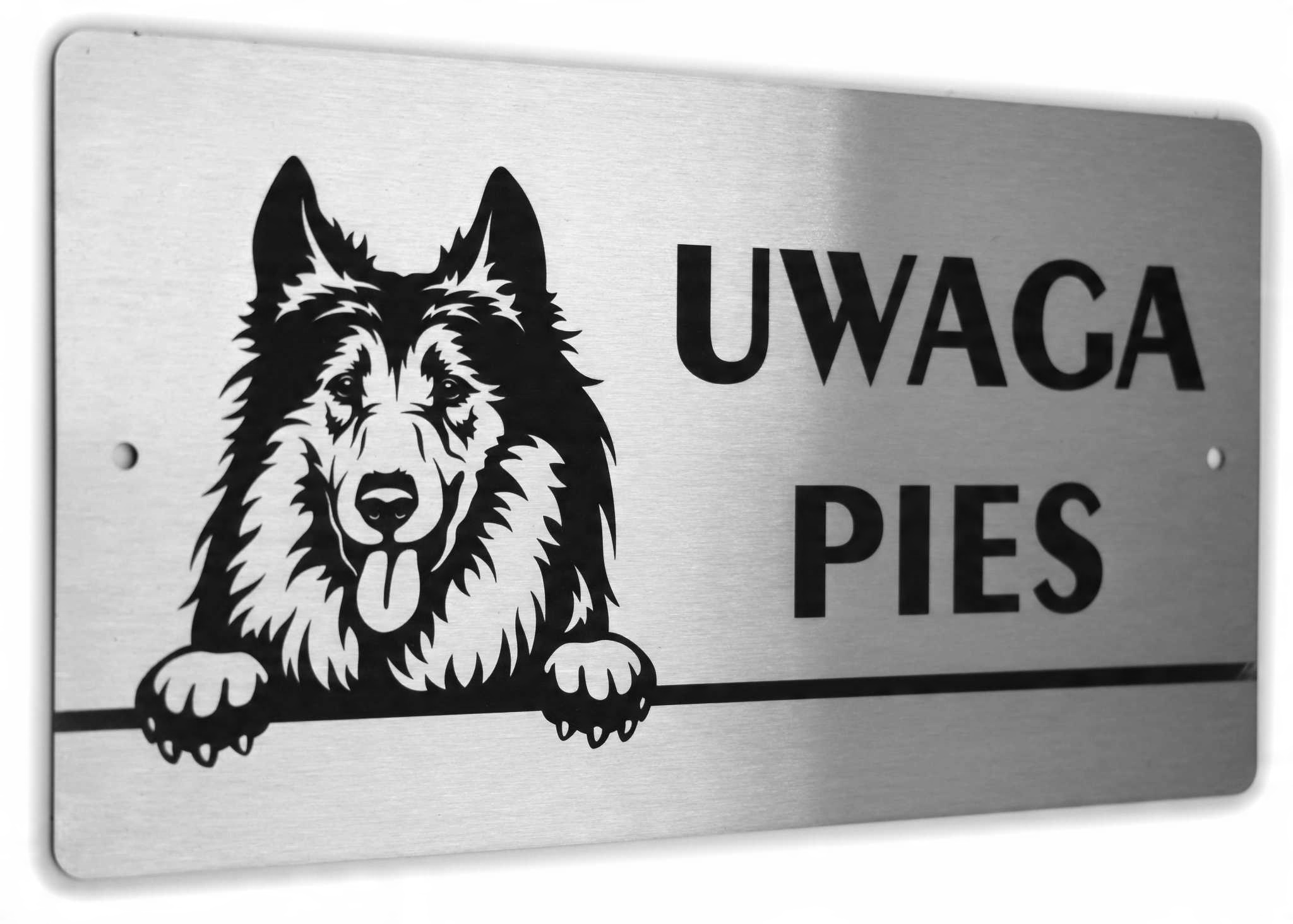 

Tabliczka Inox Uwaga Pies Owczarek Szkocki Collie