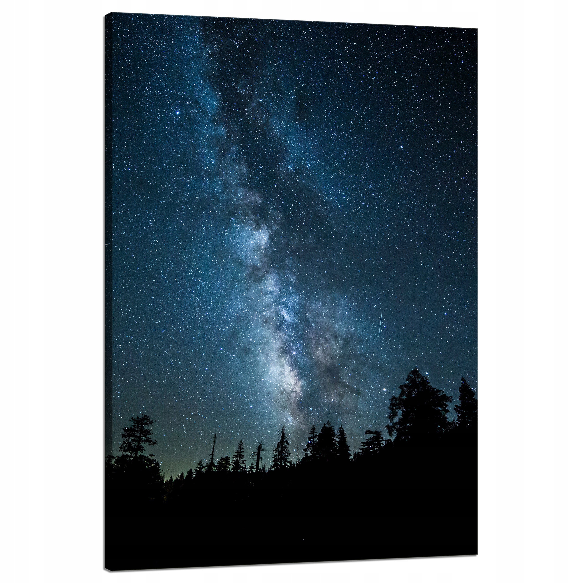 Obraz na plátně Vesmír Noc Les Mlhovina nebe Astronomie 80x120