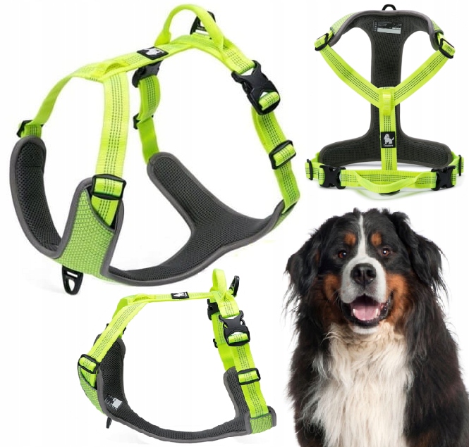 Levně Reflexní Obojky Pro Psa Easy Walk, Silné Truelove Lumen Žluté XL