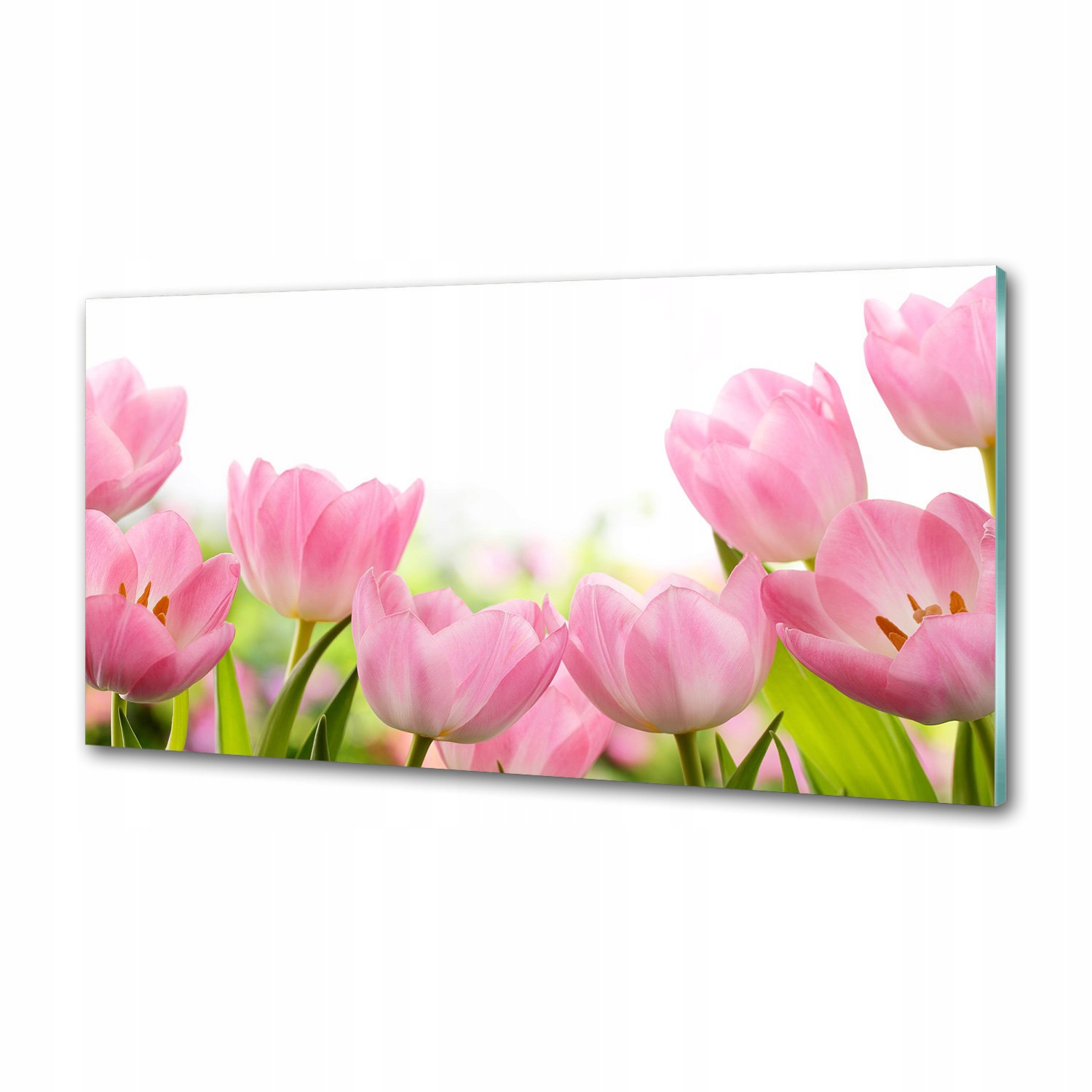 Panel do kuchyne Ružové tulipány 100 x 50 cm Lepidlo