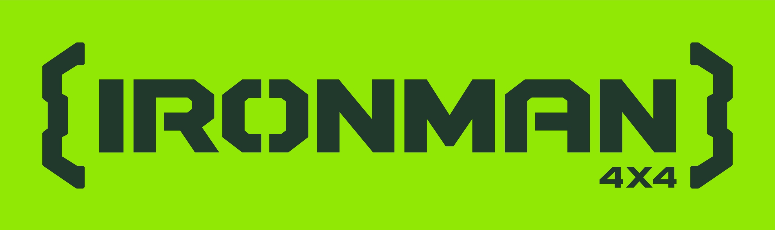 PAS DO DRZEWA/WYCIĄGARKI ITREE WYTRZYMAŁOŚĆ 12 TON | DŁ. 3M Długość 3 m