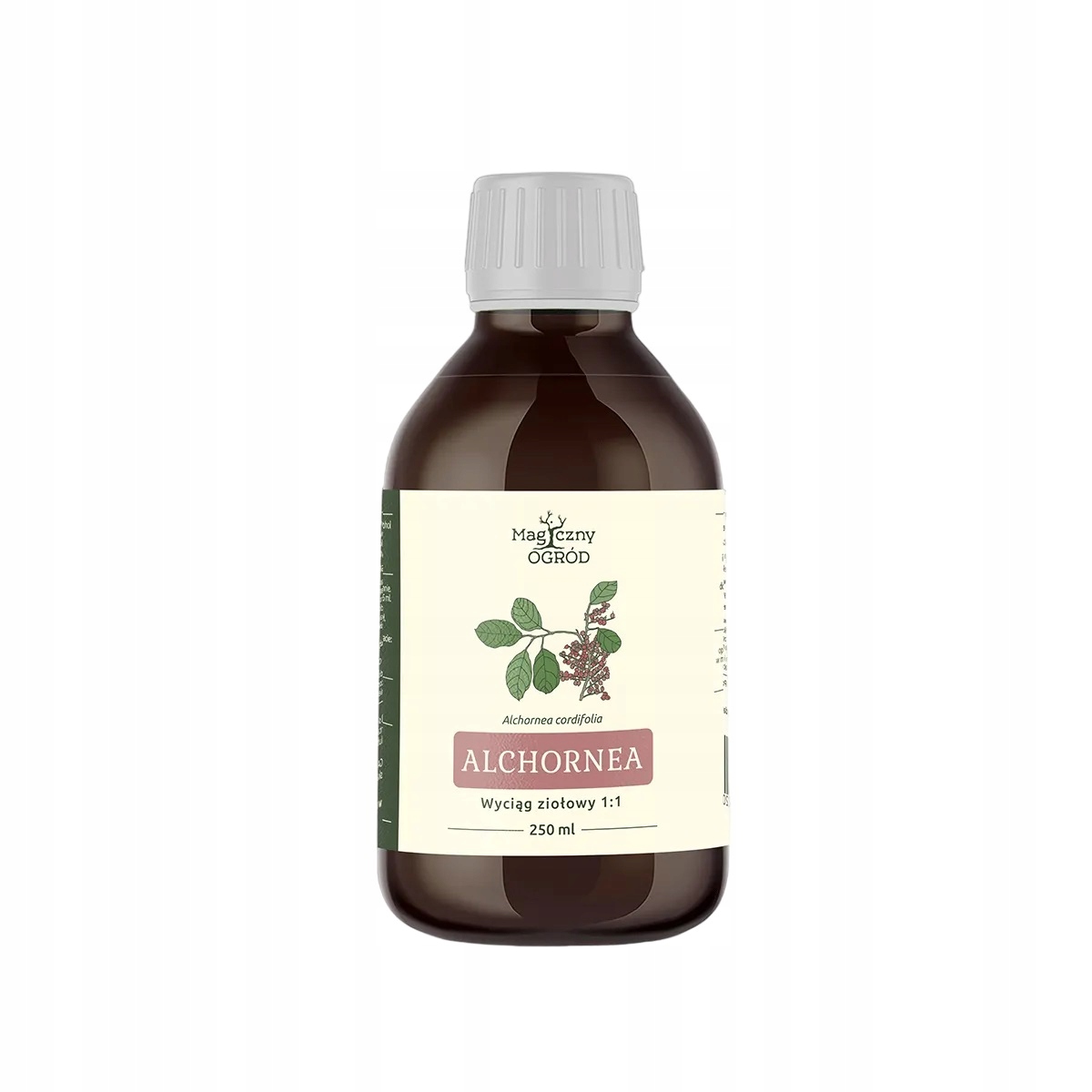Alchornea Alchornea cordifolia wyciąg 1:1 250ml