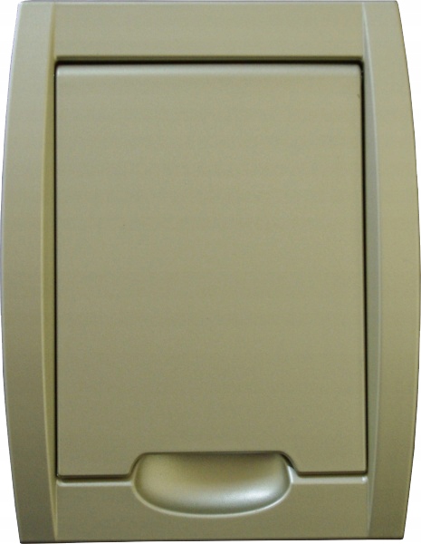 Gniazdo PREMIER EVO, szampańskie Odkurzacz Central