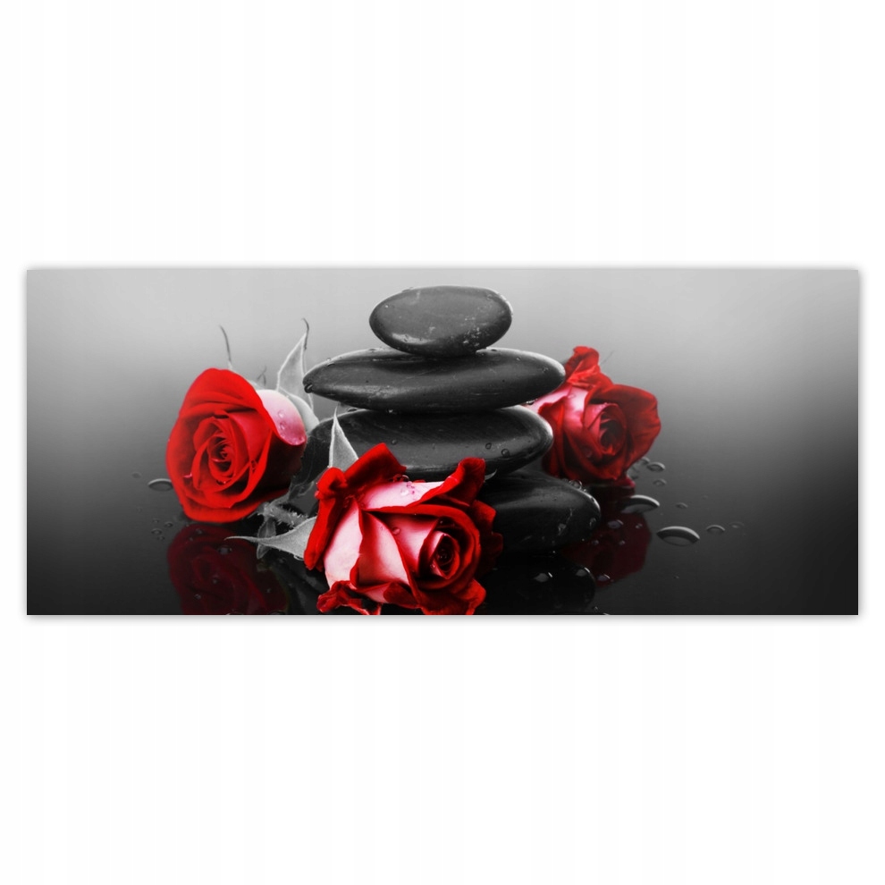 

Fototapety flizelina 250x104 Czerwone róże Spa