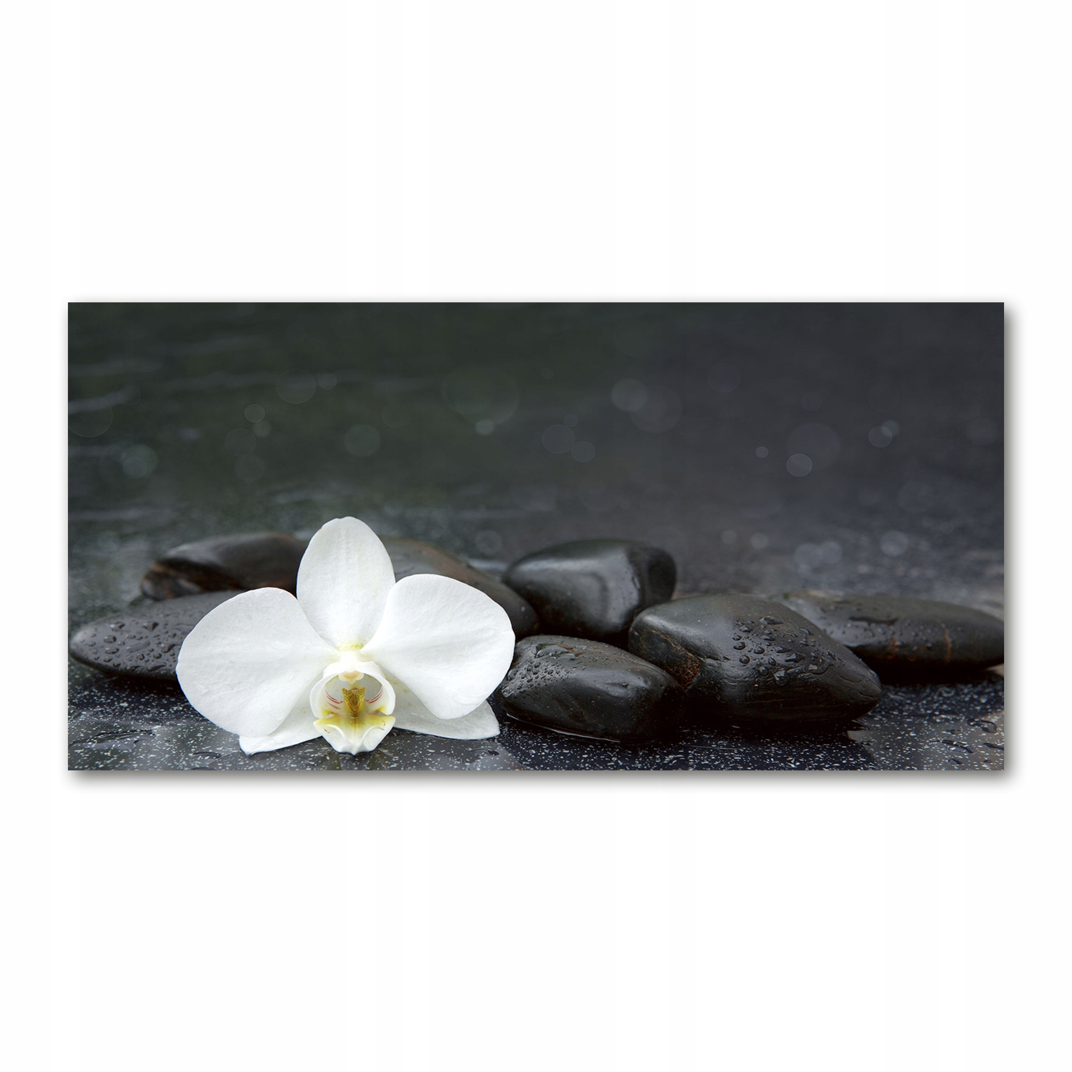 

Foto obraz duży akryl nowoczesny Orchidea 120X60cm