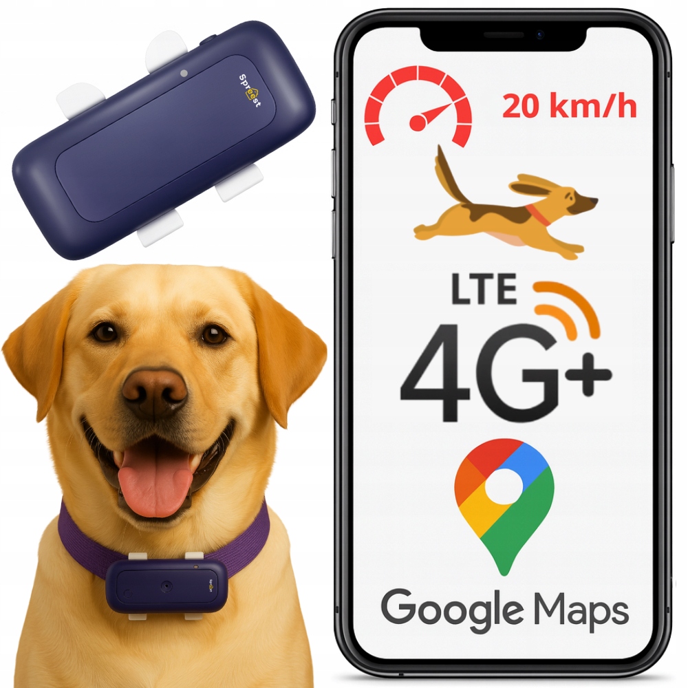 Lokalizator Gps 4G Dla Zwierząt Lokalizator Dla Psa Kota Bez Abonamentu