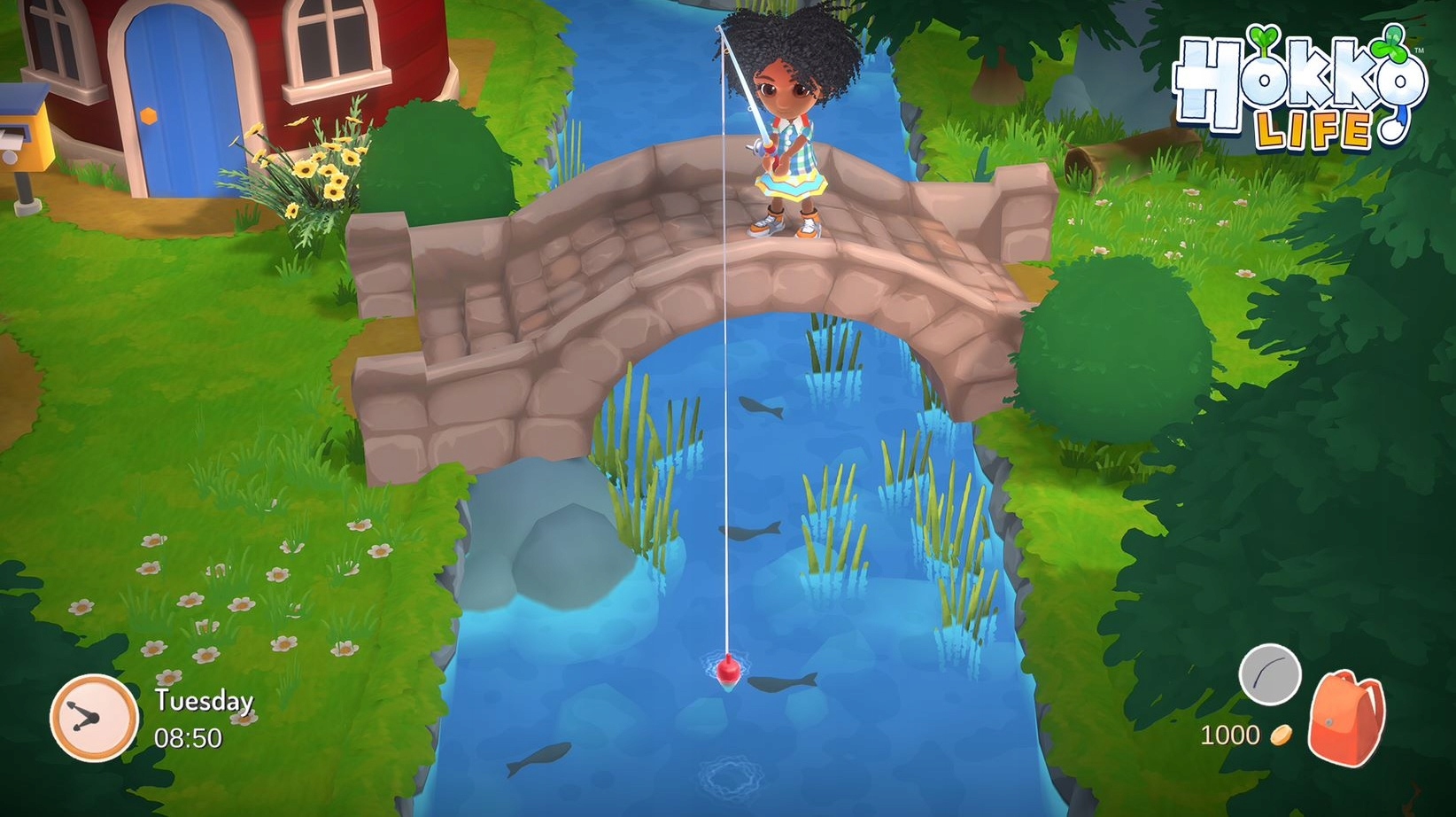 Hokko Life PL XONE XBOX XSX Tematyka symulacje