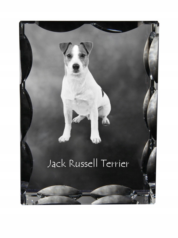 Jack Russell Terrier fotografia psa v ozdobnom kryštáli, suvenír, dekorácia
