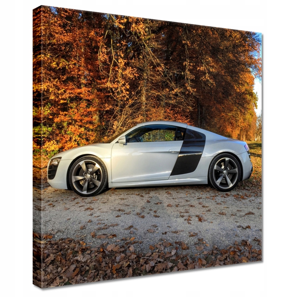 

Obrazy 40x40 Jesienne Audi Samochód