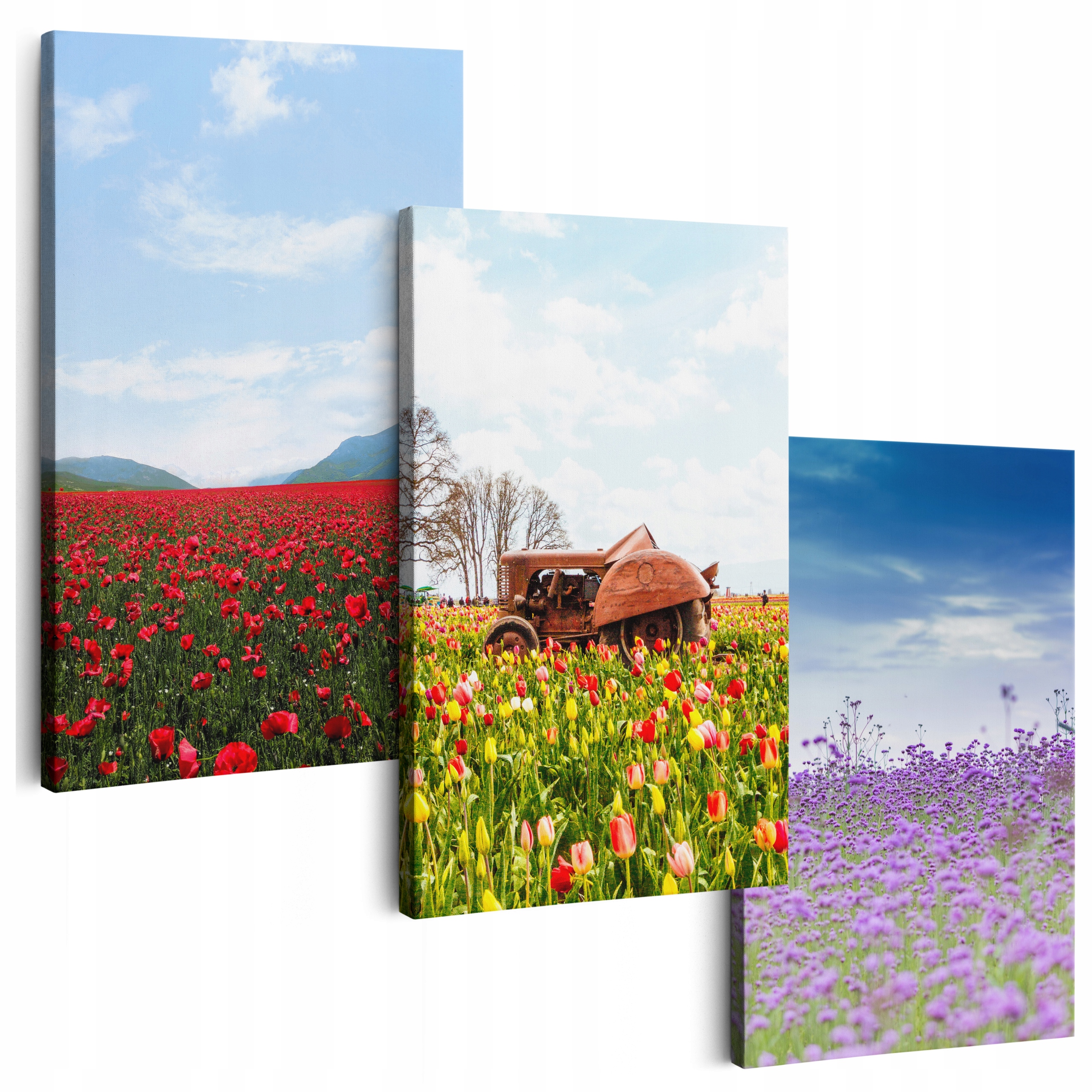 Obraz Na Plátně 180 cm **mnoho vzorů** Obrazy Do Obývacího Pokoje Triptych Květiny