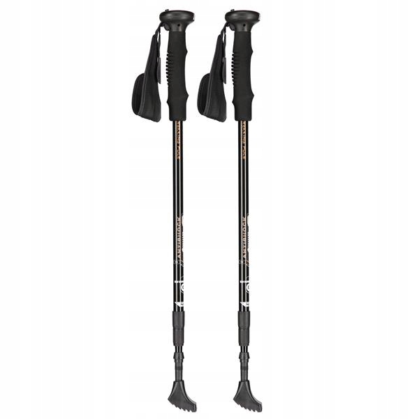 

Kije Trekkingowe Nordic Walking Kijki Regulowane