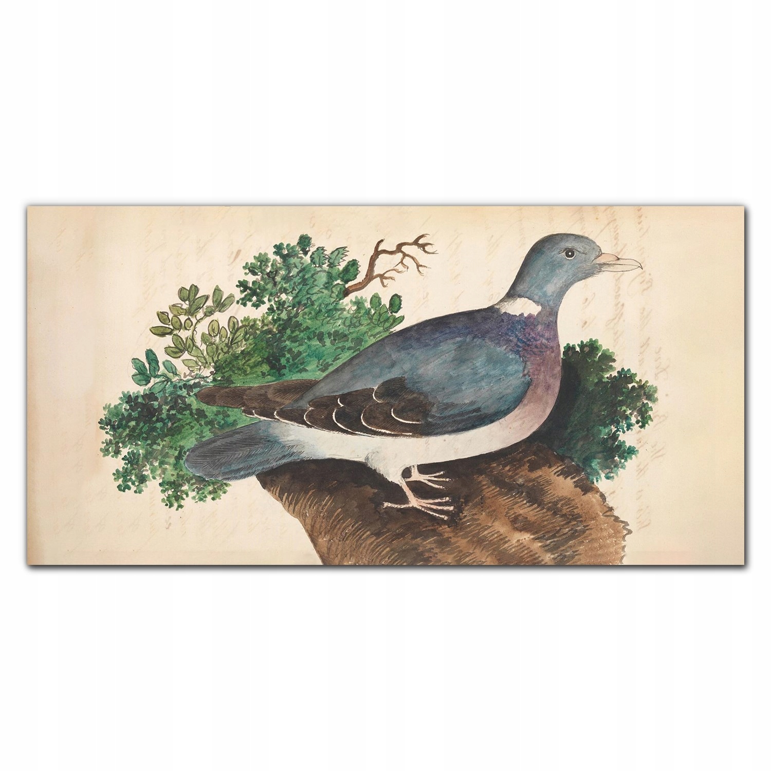 Obraz na plátne Vtáky divoké zvieratá 140 x 70 cm