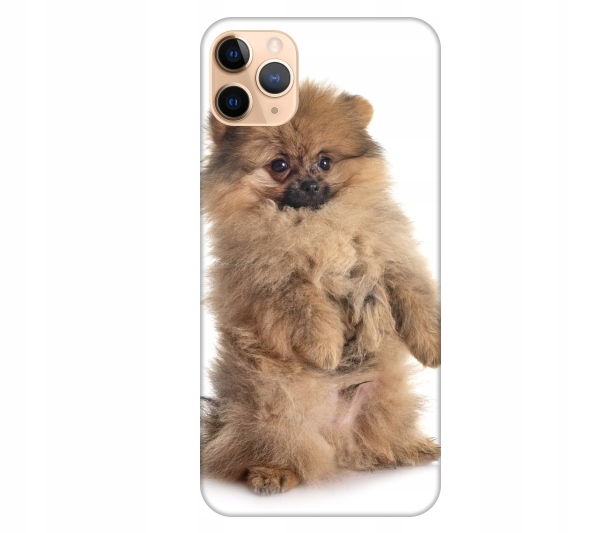 

Etui pokrowiec do iPhone 11 Pro Max Pies pomerania