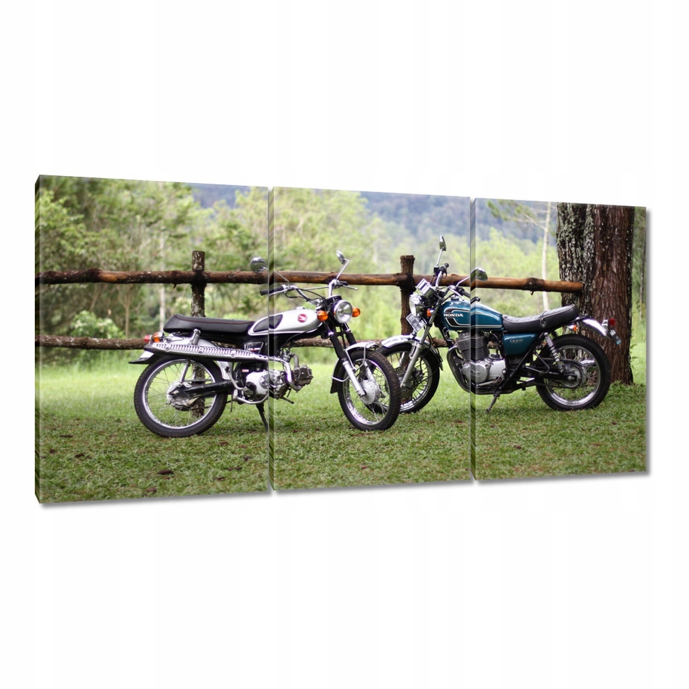 

Obrazy 120x60 Klasyczny motocykl Motor