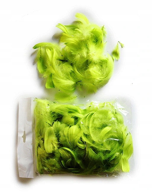 PIÓRKA JASNOZIELONE Wielkanoc SUSZ