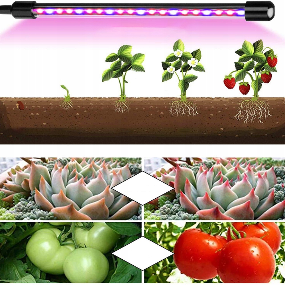Czterogłowicowe oświetlenie LED do uprawy Grow Light, czerwone i niebieskie EAN (GTIN) 6976763109011