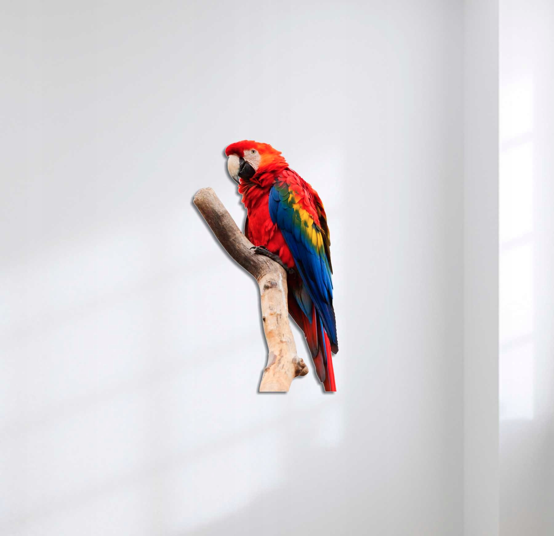 Lampka Papuga PJ79 Zasilanie sieciowe