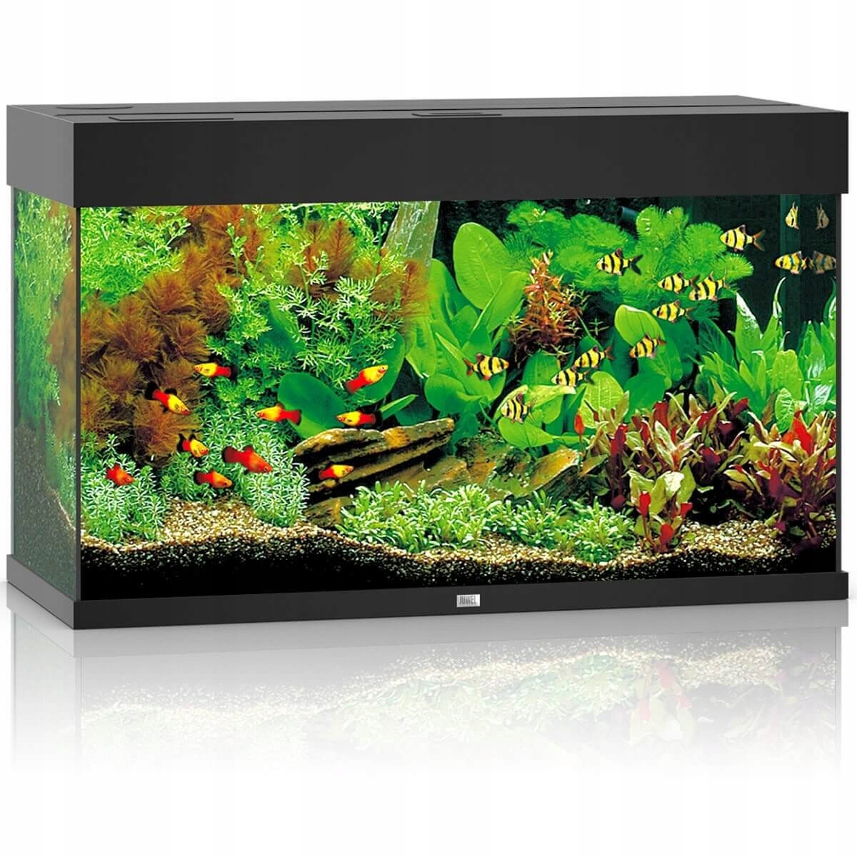 Juwel Rio 125 Led Akwarium Zestaw Wyposażenie