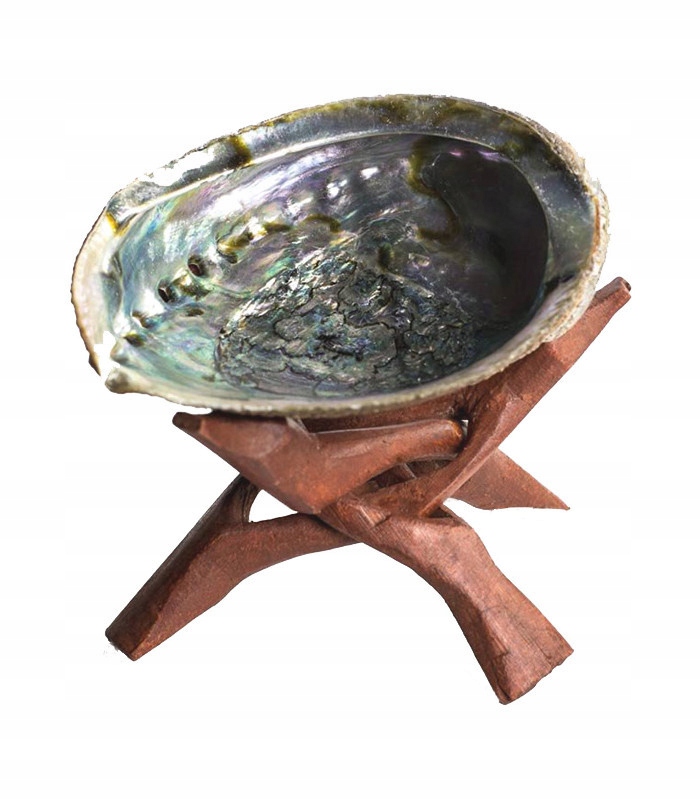 

Muszla Paua Abalone z podstawką Palo Santo Szałwia