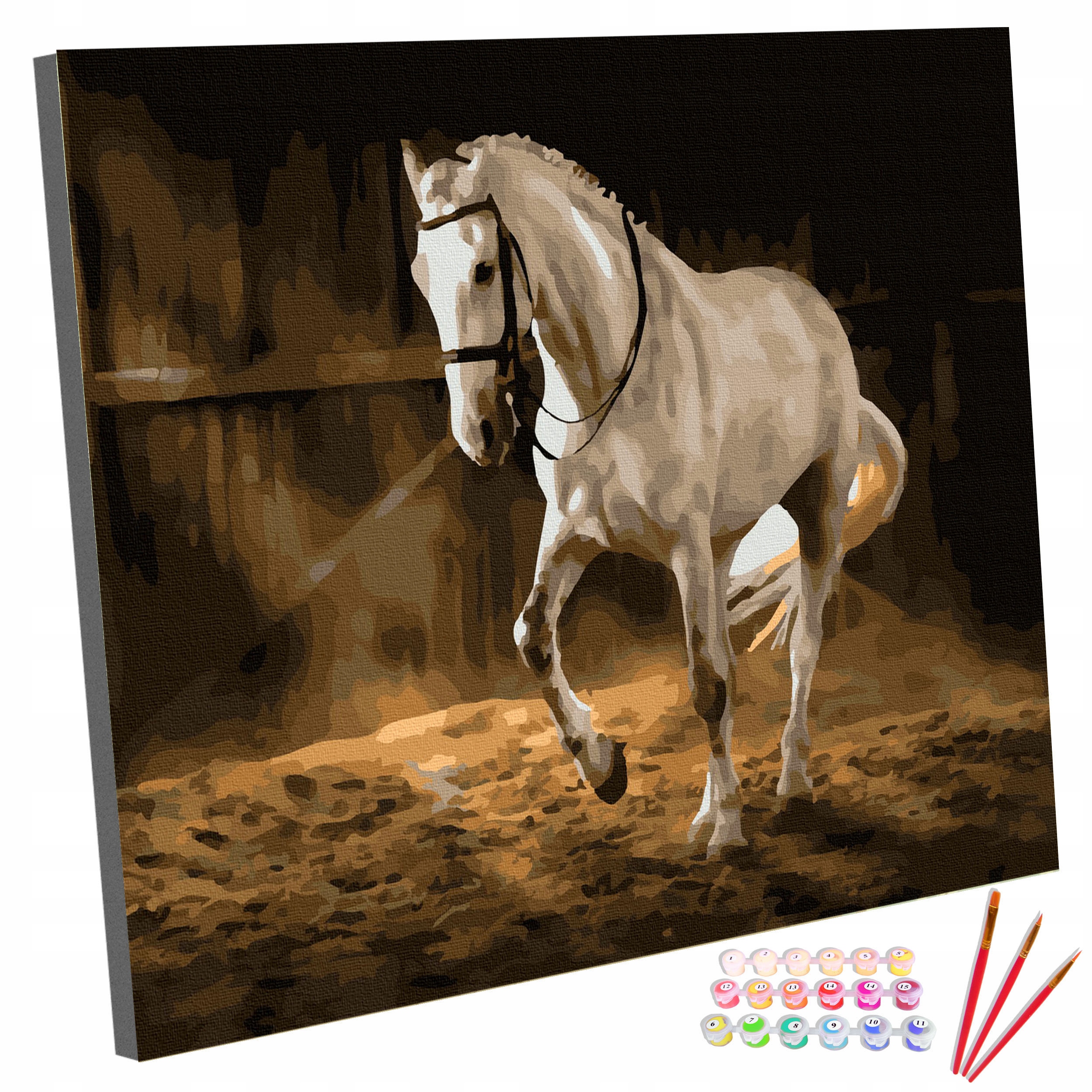 Sada Obraz na malování Malování Podle Čísel Na rámu Kůň 40x50 cm