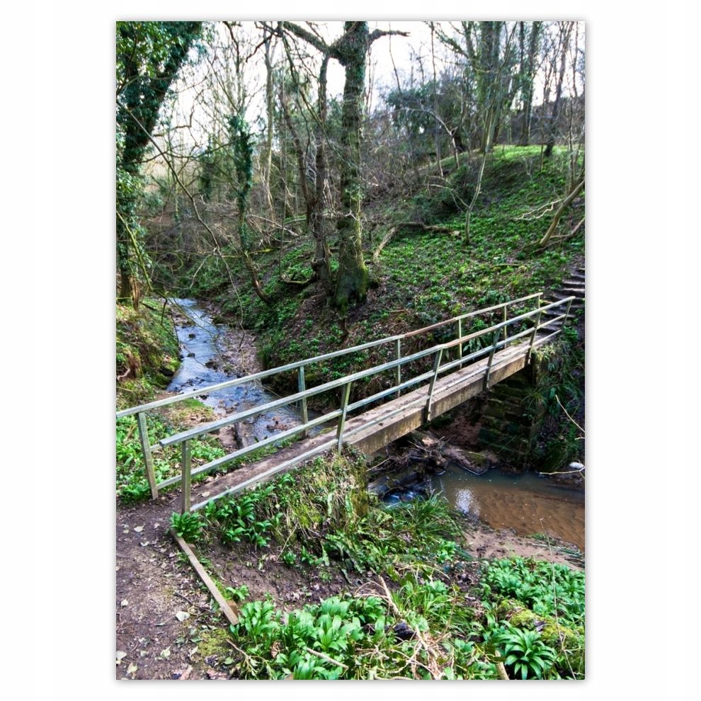 

Naklejki 50x70 Mostek w parku