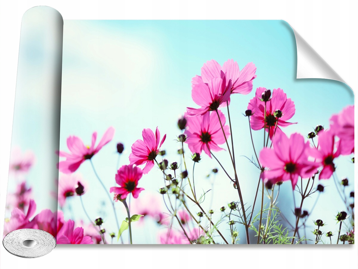 

Tapeta Samoprzylepna Kwiat Niebo - 416x254