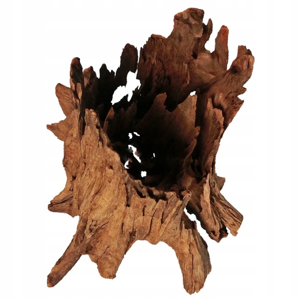 Kořen Driftwood Přírodní L 30-40 CM Sladkovodní Rostlinné Akvárium