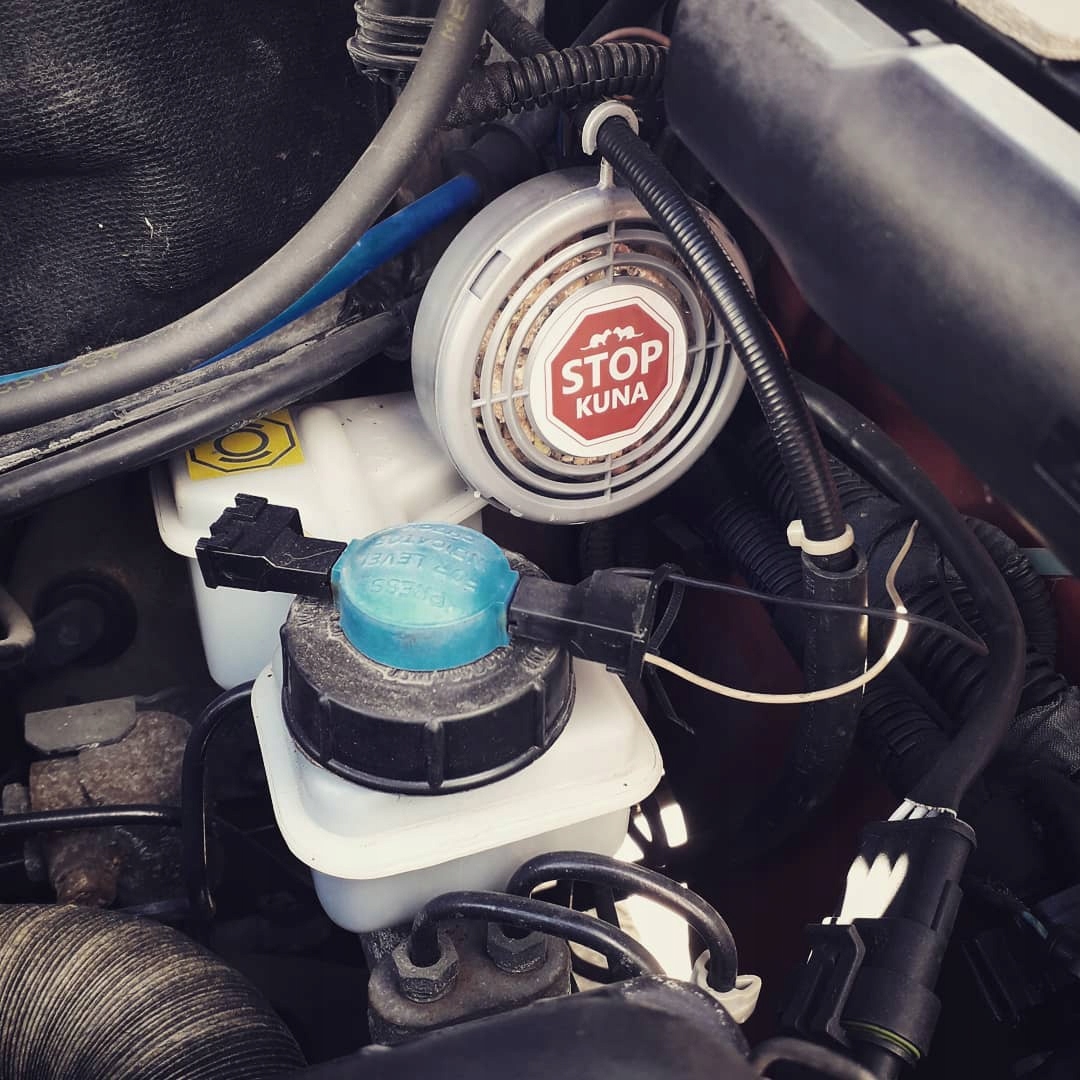 ODSTRASZACZ GRYZONI DO AUTA ŚRODEK NA KUNY DO SAMOCHODU POD MASKĘ I DOMU Pojemność opakowania 400 ml