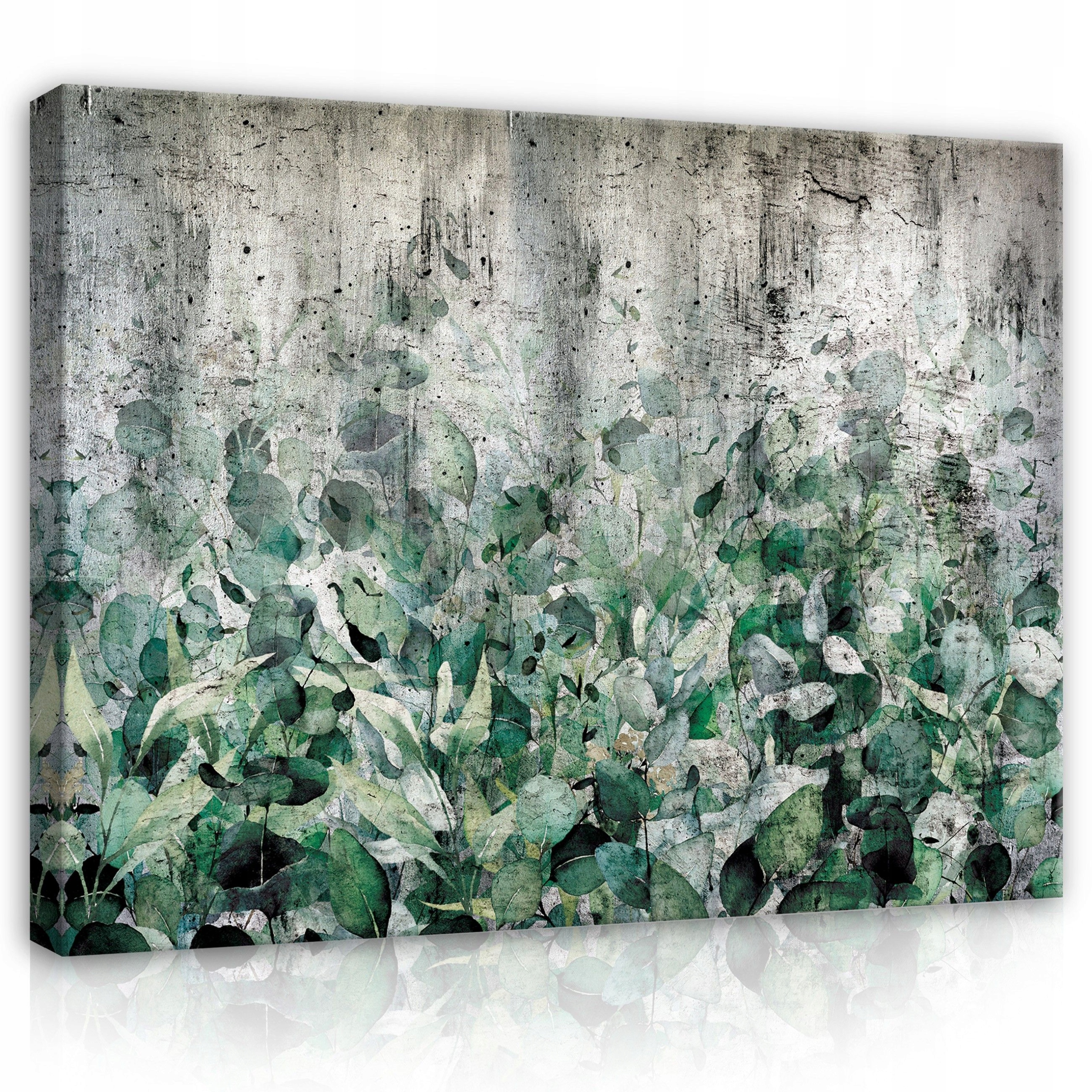 Obraz 100x75 Zeleň listy beton textura příroda ve městě klid svěžest