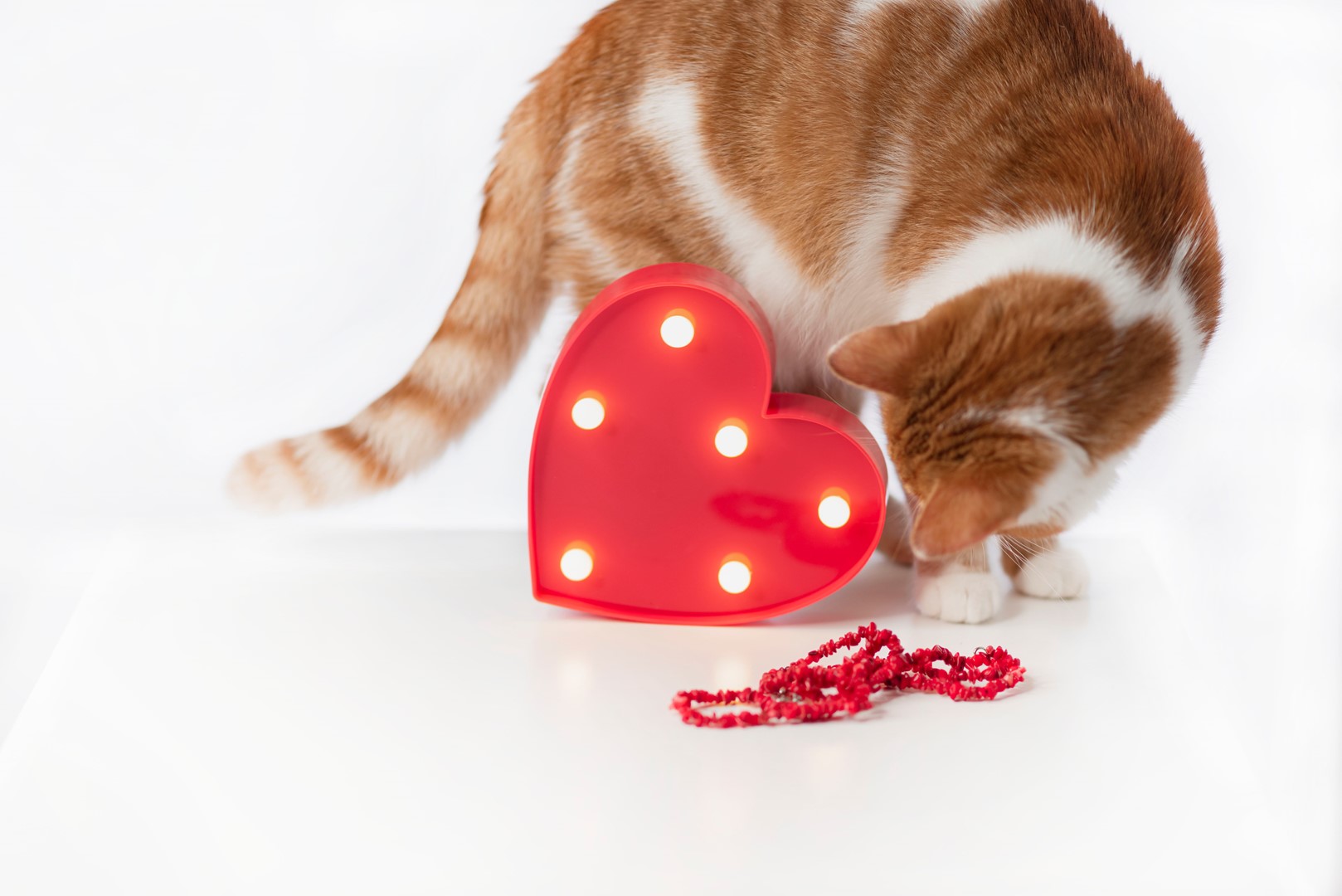 OZDOBNE CZERWONE SERCE PLASTIKOWE LED Kod producenta 020304