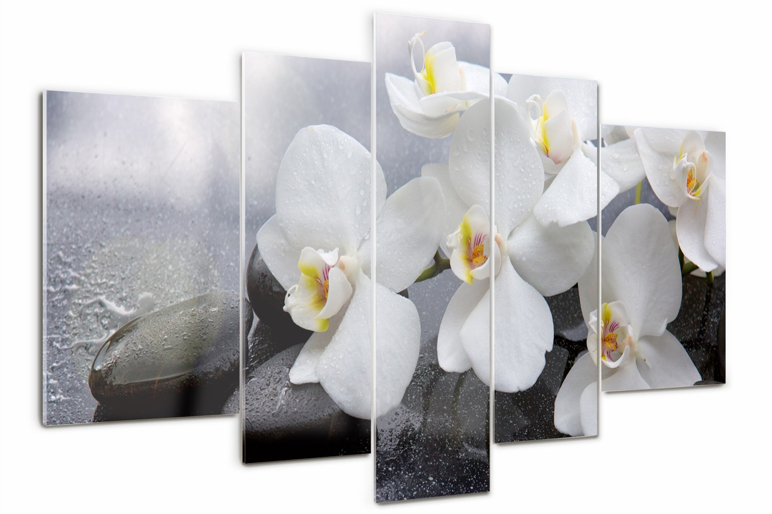 Foto Obraz skleněný triptych moderní Orchidej