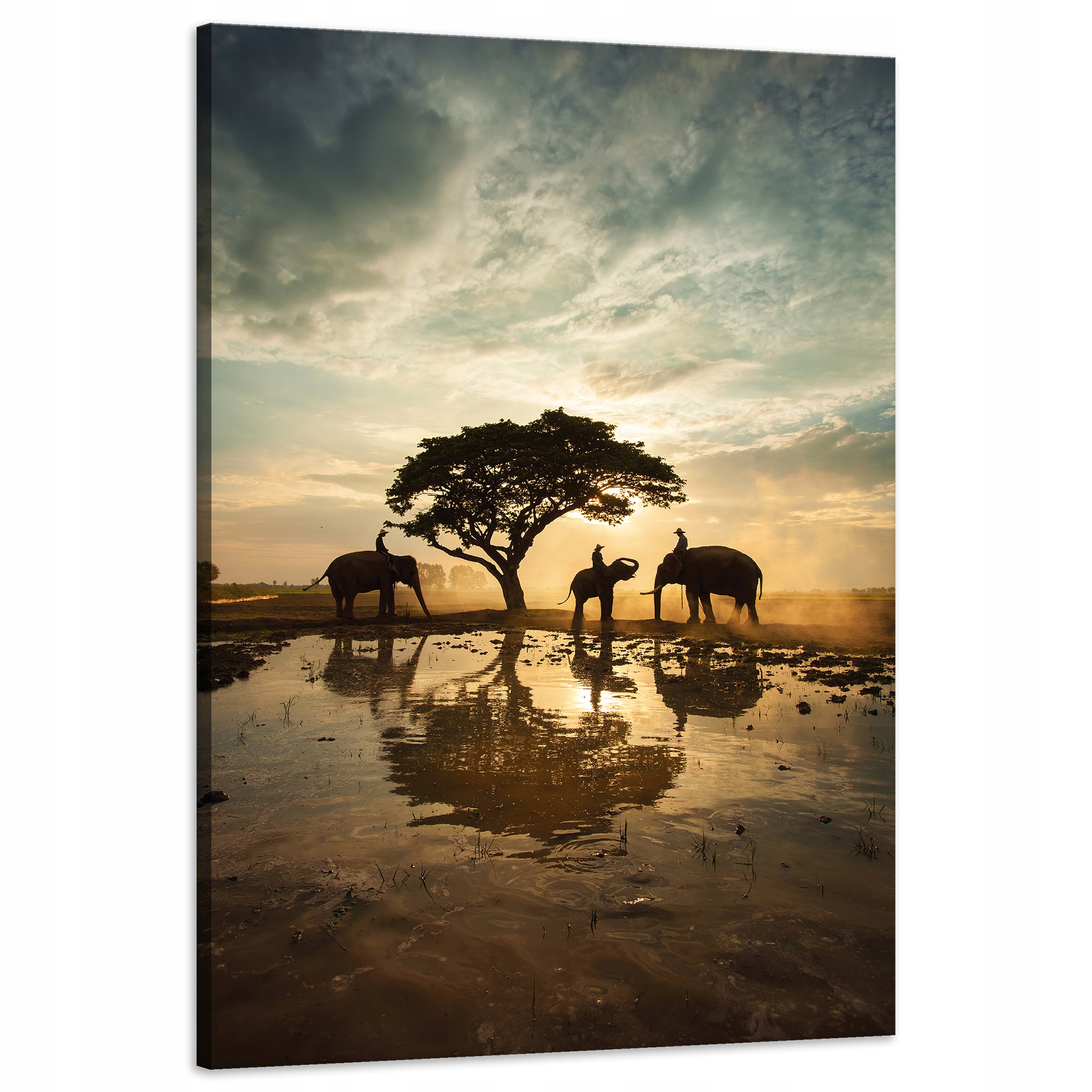 Obraz na plátně Lidé na slonech při západu slunce 60x90 cm