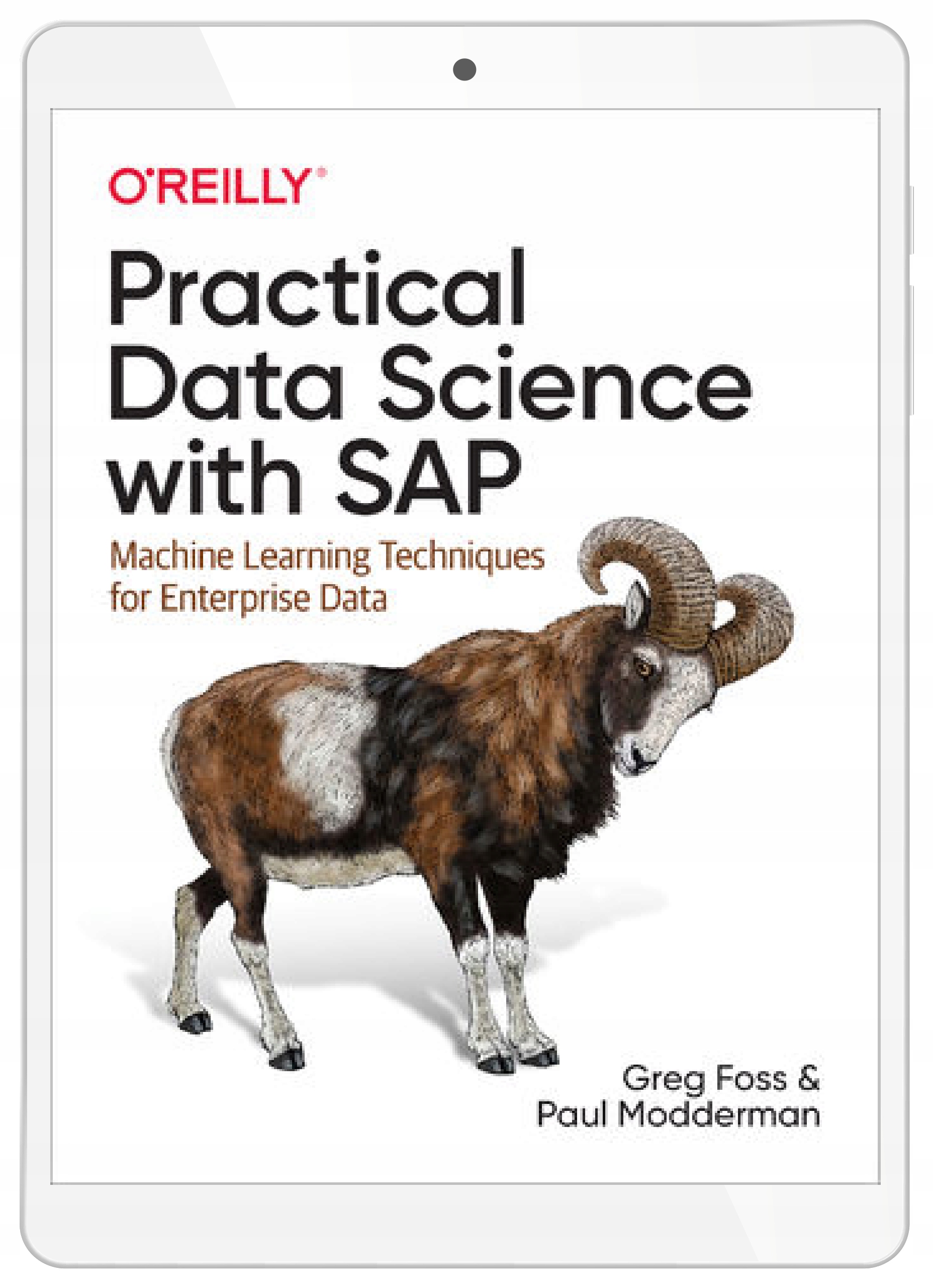 Practical Data Science with SAP. Machine Learning