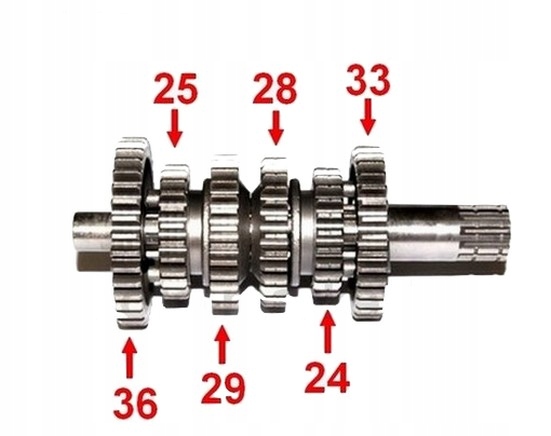 WAŁEK SKRZYNI BIEGÓW GAS GAS silnik MINARELLI AM6 Producent inny