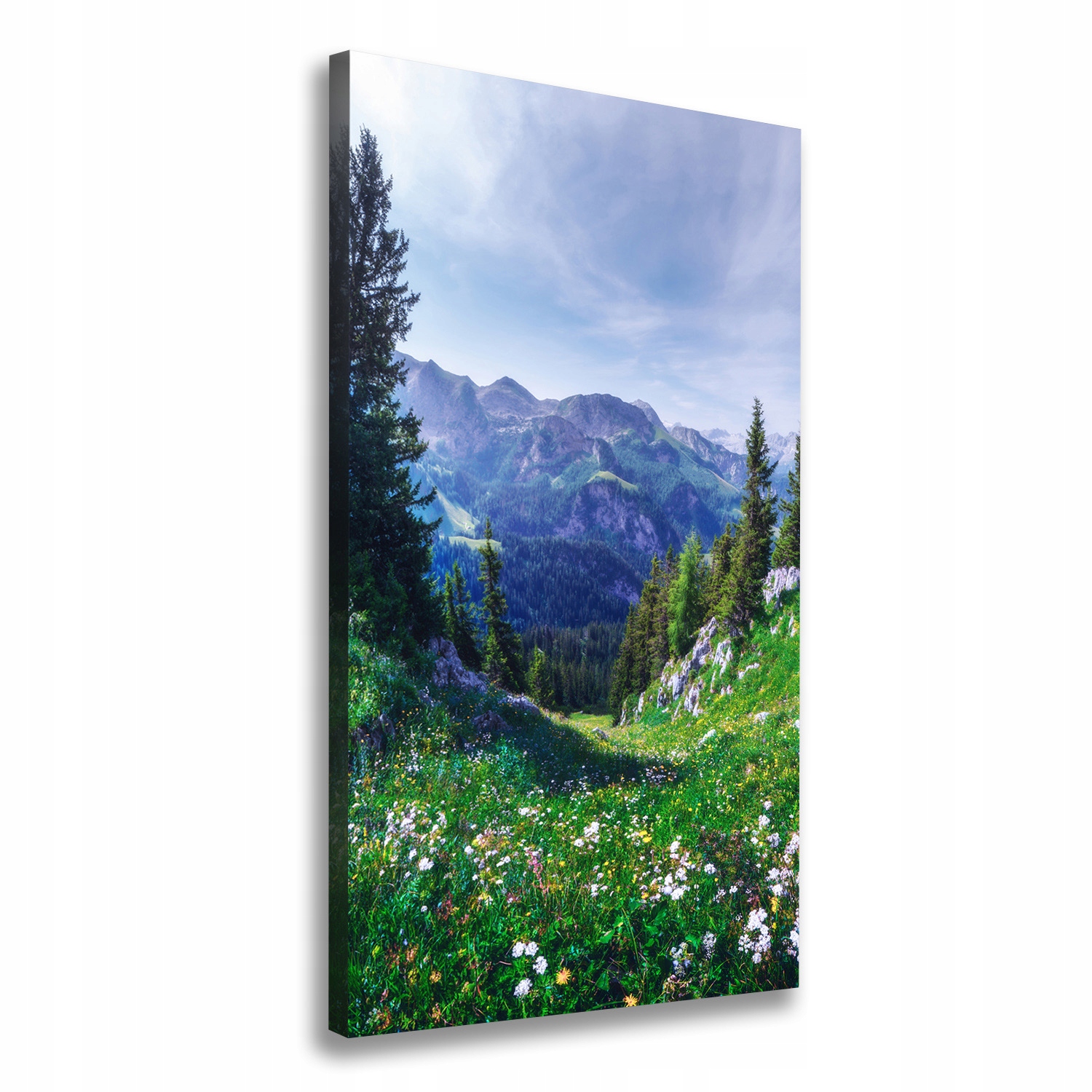 

Foto obraz drukowany na płótnie Alpy 60x120 cm