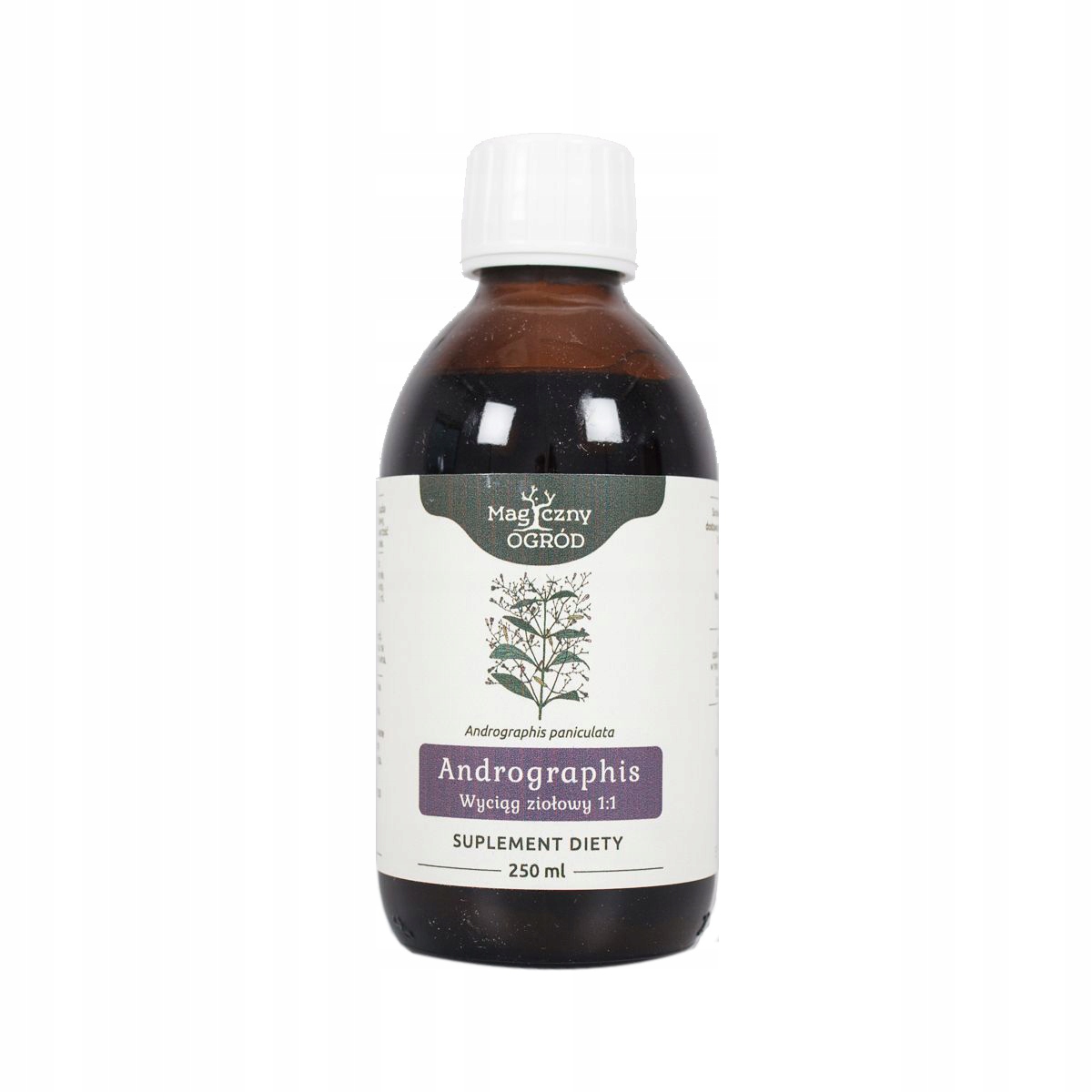 

Andrographis paniculata nalewka 1:1 250ml