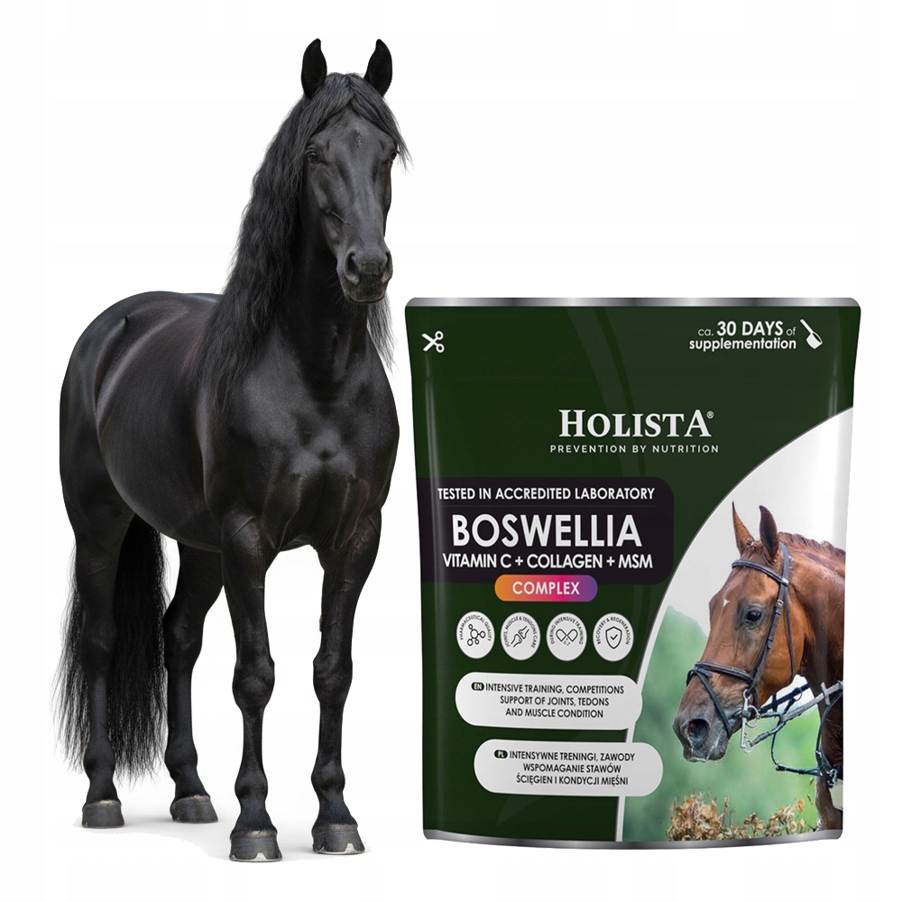 Holistaequine Boswellia Seratta Complex 500g Kolagen Msm Regenerace