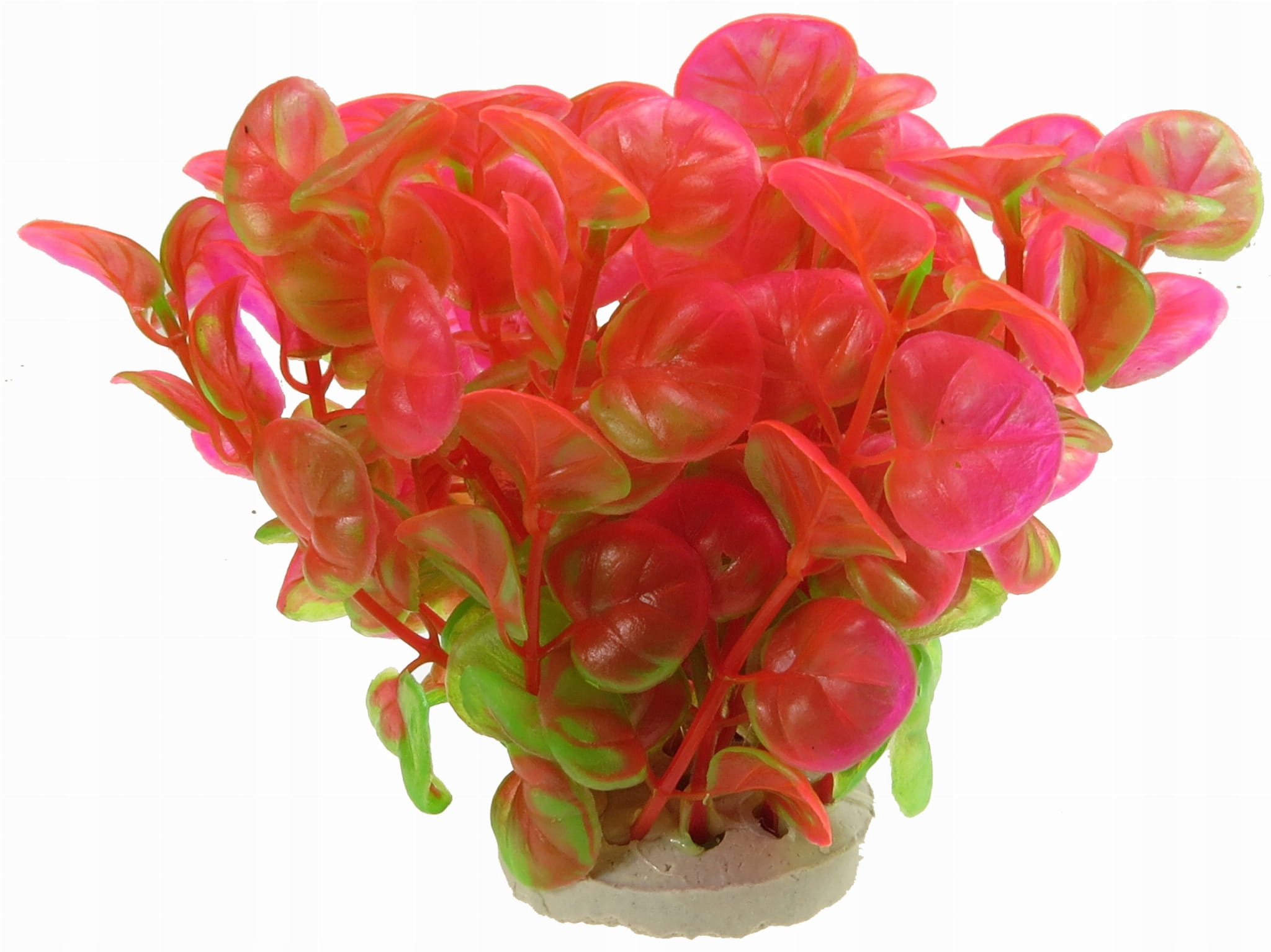 

Roślinka Sztuczna Do Akwarium 10cm Dekoracja 1f11