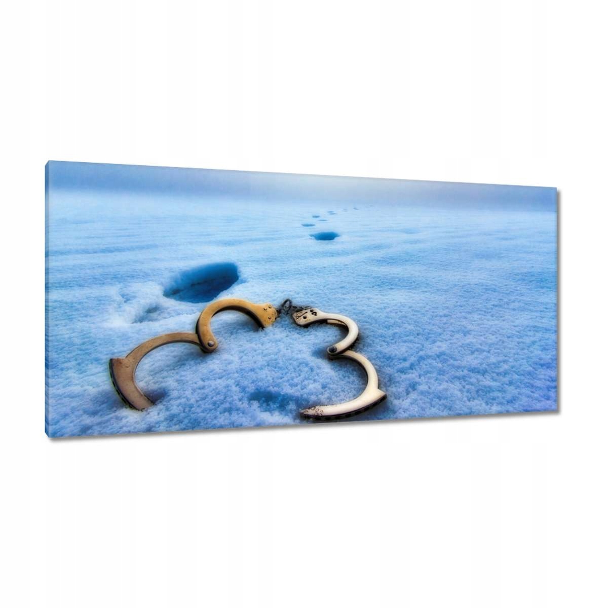 Obrazy 115x55 HardCore Design Photo Hc