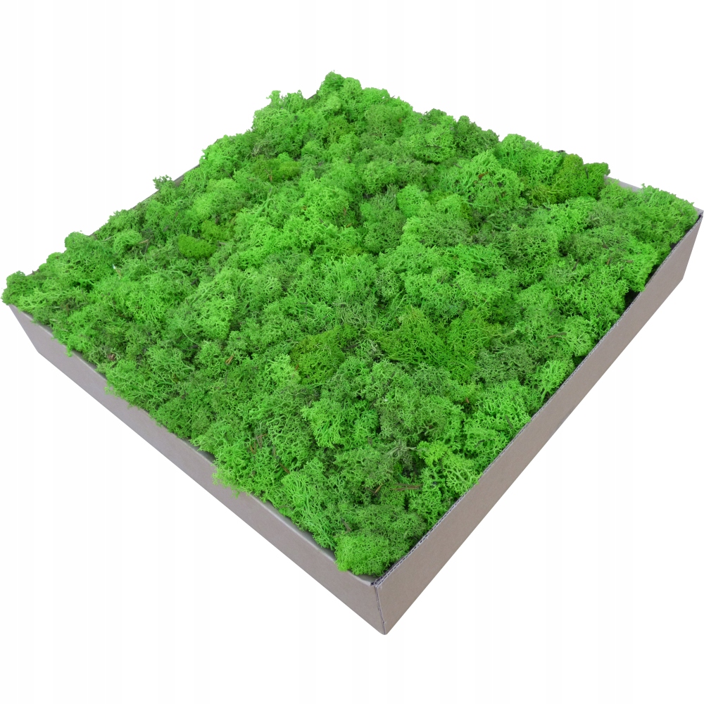 Skrawki mech chrobotek Jabłkowa Zieleń Karton 3kg Kod producenta schp3ag